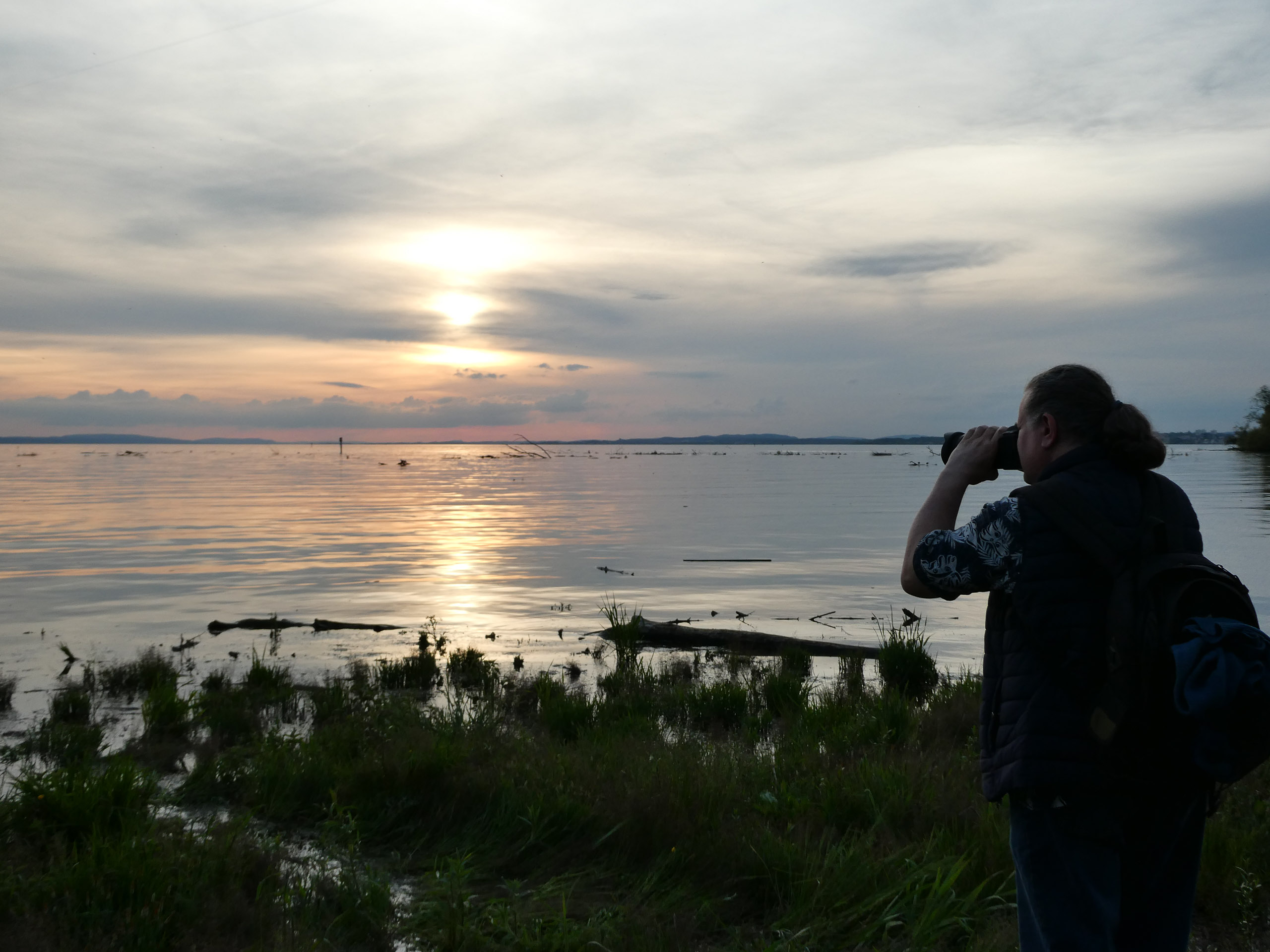 20230506200915 P1000198